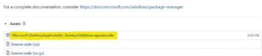 Comment télécharger et installer Windows Package Manager (winget) sur Windows 10 3