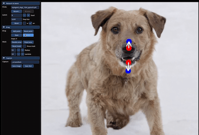 Regardons un exemple de DragGan : lorsque vous manipulez la bouche du chien pour l'ouvrir, DragGAN ne se contente pas d'étirer les mâchoires, il génère aussi des dents et ajuste l'expression faciale.