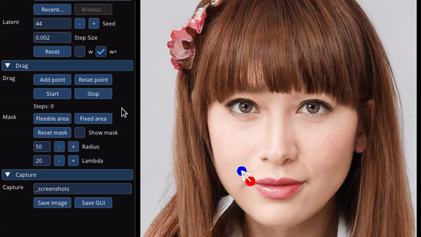 DragGAN AI Photo Editor : Le futur de la retouche d'images